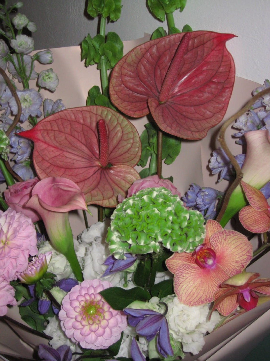 A bouquet of anthurium and dahlias
